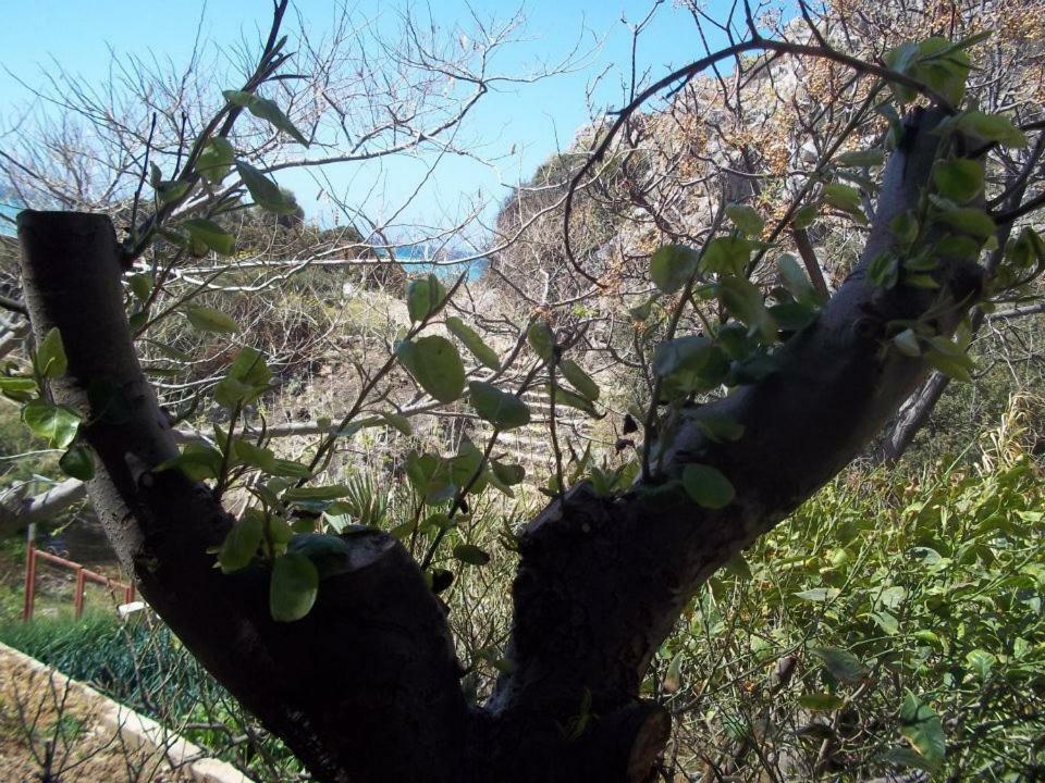 Dionyssos Rooms Preveli Crete 外观 照片